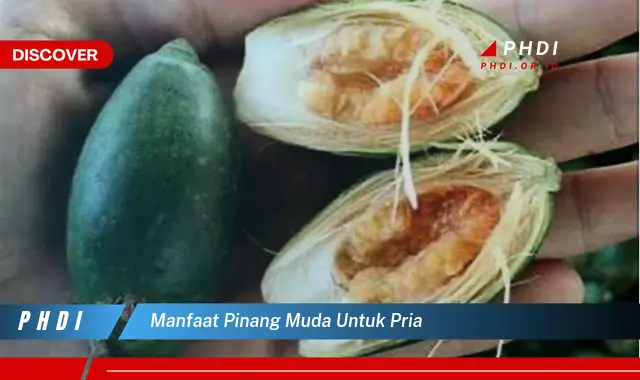 manfaat pinang muda untuk pria