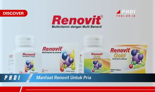 manfaat renovit untuk pria