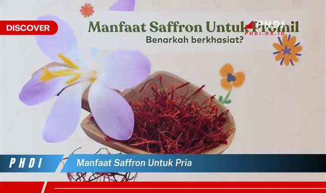 manfaat saffron untuk pria