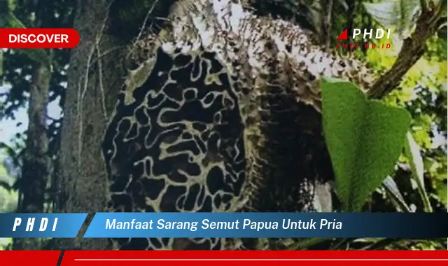 Temukan 7 Manfaat Sarang Semut Papua untuk Pria yang Wajib Kamu Intip