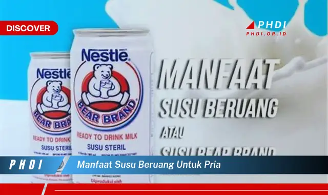 manfaat susu beruang untuk pria