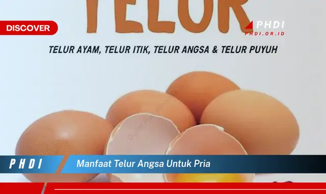 manfaat telur angsa untuk pria