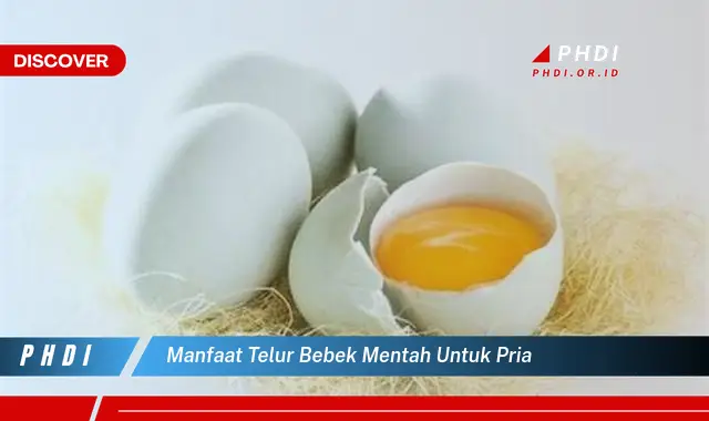 manfaat telur bebek mentah untuk pria