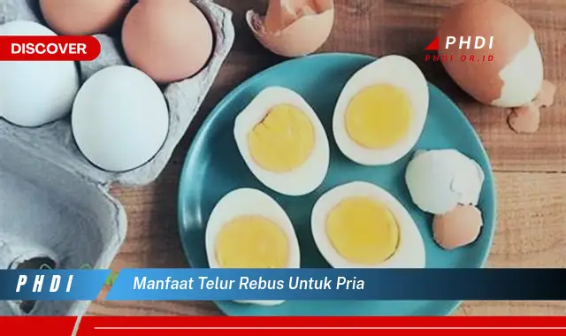 manfaat telur rebus untuk pria