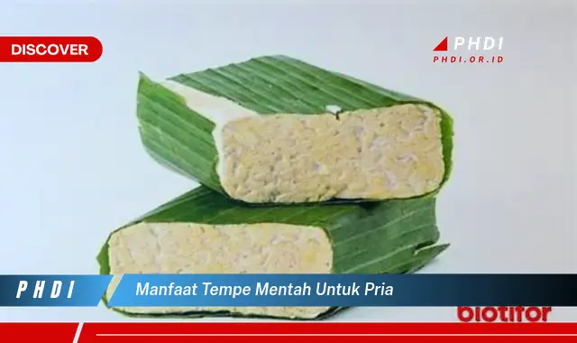 manfaat tempe mentah untuk pria