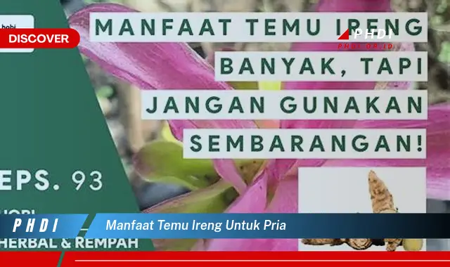 manfaat temu ireng untuk pria