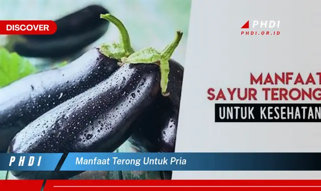 manfaat terong untuk pria