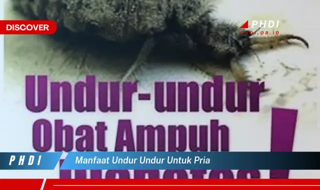 manfaat undur undur untuk pria