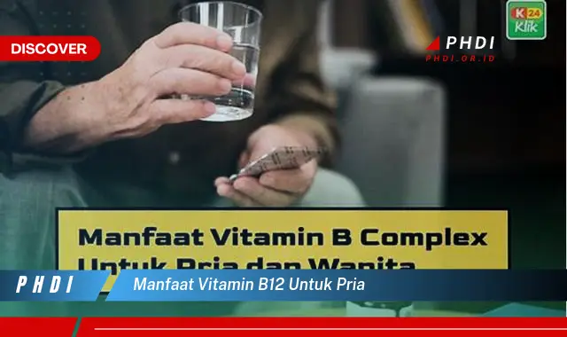 manfaat vitamin b12 untuk pria