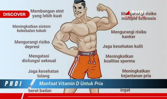 manfaat vitamin d untuk pria