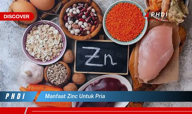 manfaat zinc untuk pria