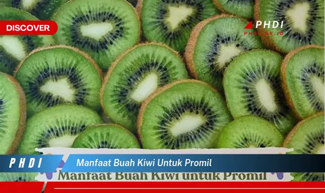 manfaat buah kiwi untuk promil