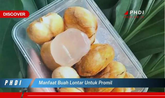 manfaat buah lontar untuk promil