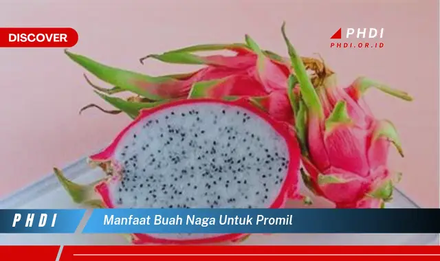 manfaat buah naga untuk promil