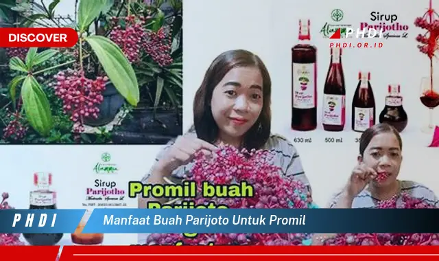 manfaat buah parijoto untuk promil