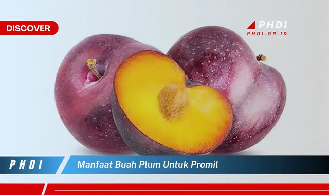 manfaat buah plum untuk promil