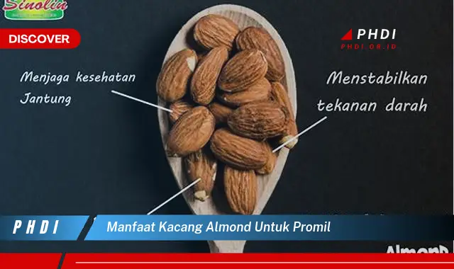 Ketahui 7 Manfaat Kacang Almond untuk Promil yang Bikin Kamu Penasaran