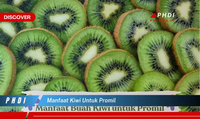 manfaat kiwi untuk promil