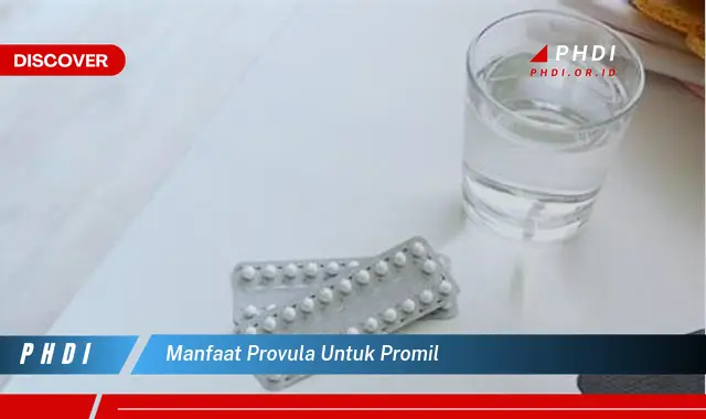 manfaat provula untuk promil