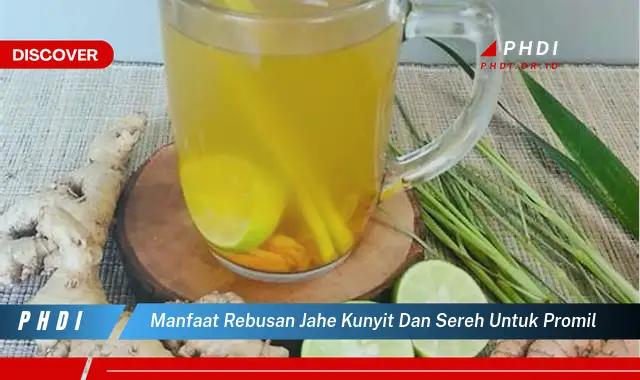 manfaat rebusan jahe kunyit dan sereh untuk promil