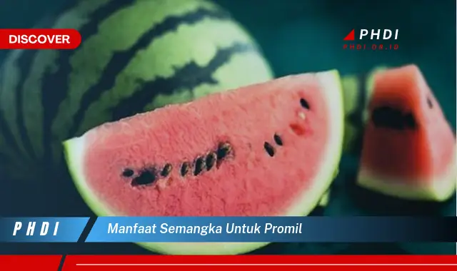 manfaat semangka untuk promil