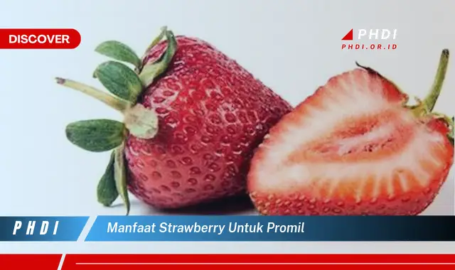 manfaat strawberry untuk promil