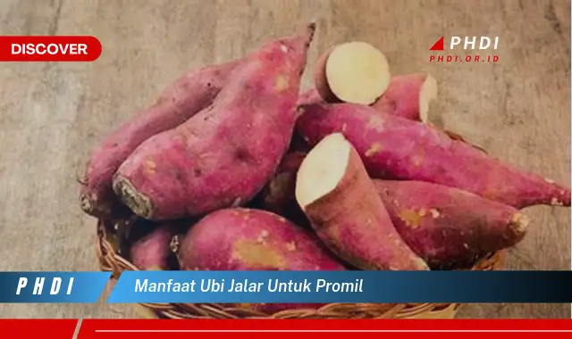 manfaat ubi jalar untuk promil