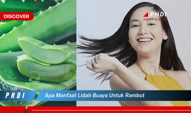 apa manfaat lidah buaya untuk rambut