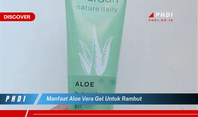 manfaat aloe vera gel untuk rambut