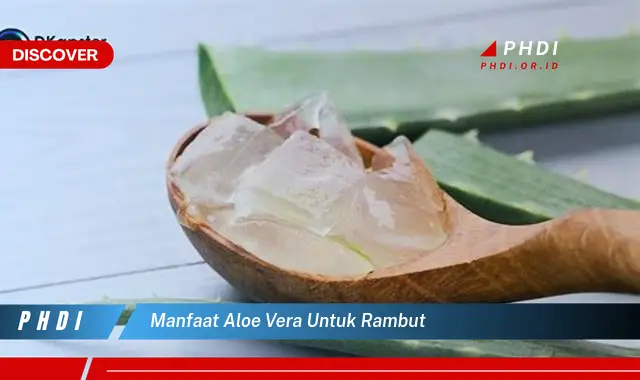 manfaat aloe vera untuk rambut