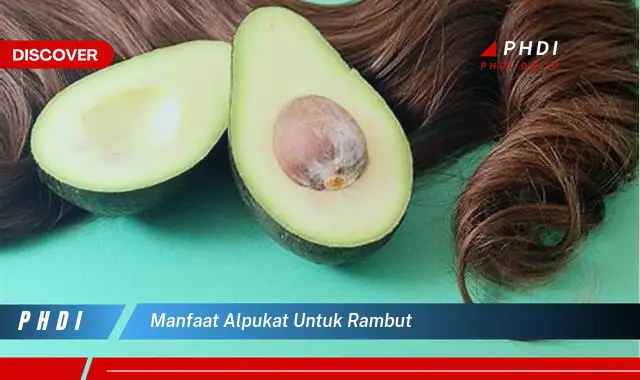 manfaat alpukat untuk rambut