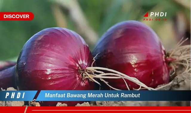 manfaat bawang merah untuk rambut