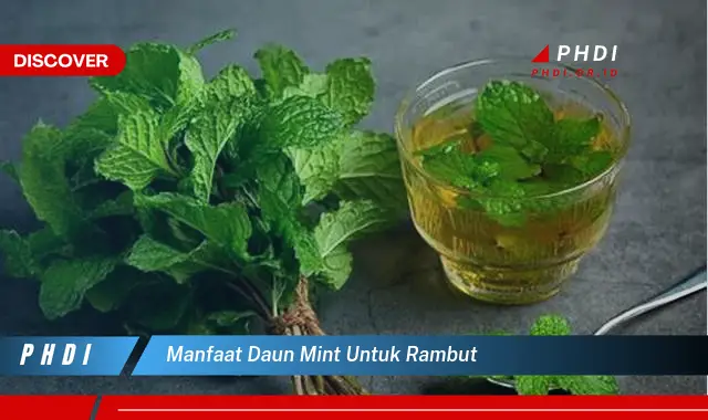 manfaat daun mint untuk rambut