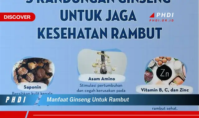 manfaat ginseng untuk rambut