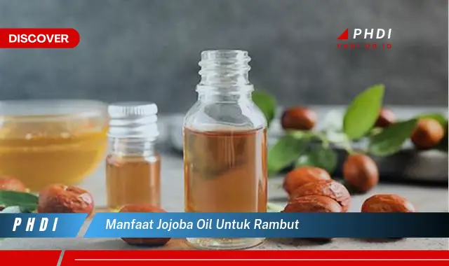 manfaat jojoba oil untuk rambut