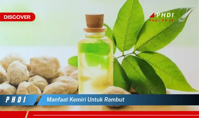 manfaat kemiri untuk rambut