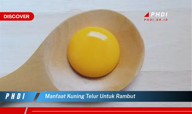 manfaat kuning telur untuk rambut