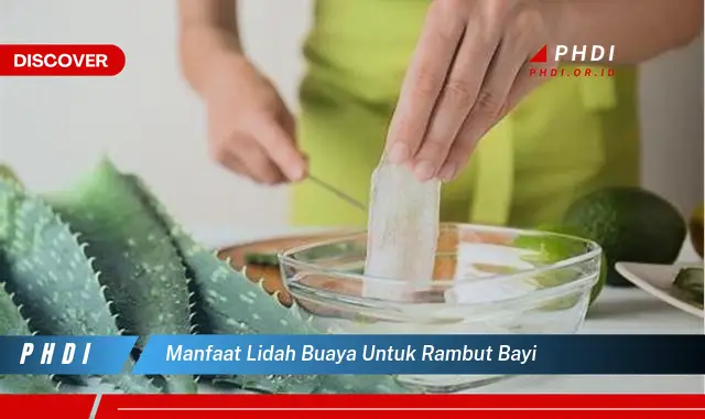 manfaat lidah buaya untuk rambut bayi