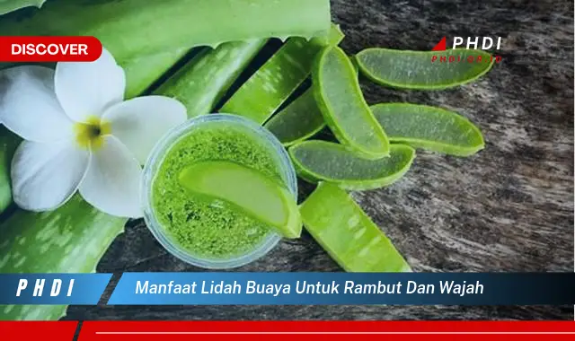 manfaat lidah buaya untuk rambut dan wajah