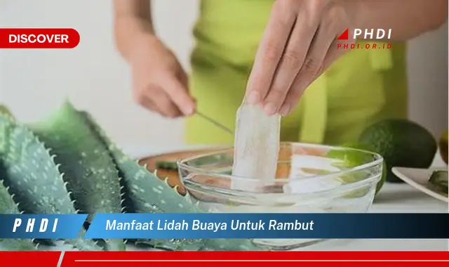 manfaat lidah buaya untuk rambut