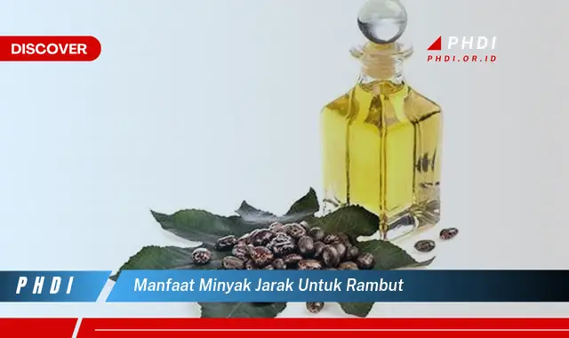 manfaat minyak jarak untuk rambut