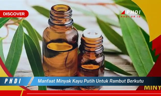 manfaat minyak kayu putih untuk rambut berkutu