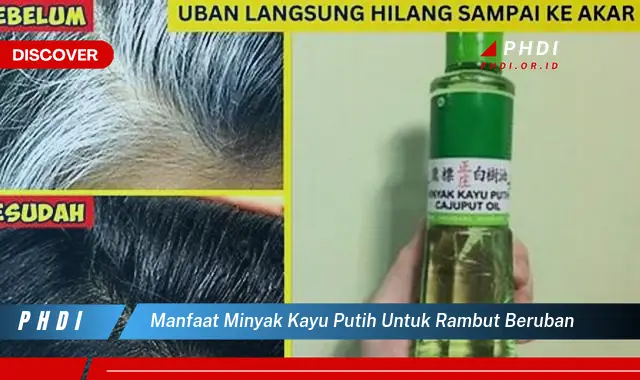 manfaat minyak kayu putih untuk rambut beruban