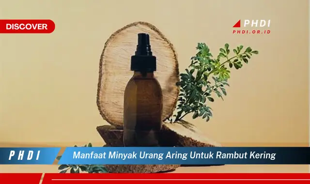 manfaat minyak urang aring untuk rambut kering