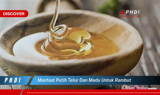 manfaat putih telur dan madu untuk rambut