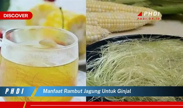 manfaat rambut jagung untuk ginjal