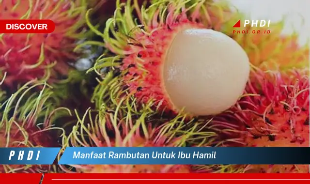 manfaat rambutan untuk ibu hamil