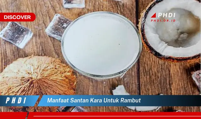 manfaat santan kara untuk rambut