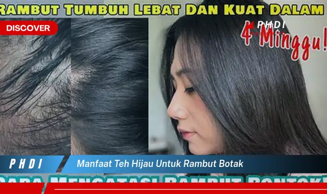 manfaat teh hijau untuk rambut botak