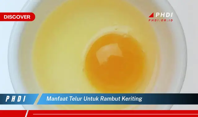 manfaat telur untuk rambut keriting